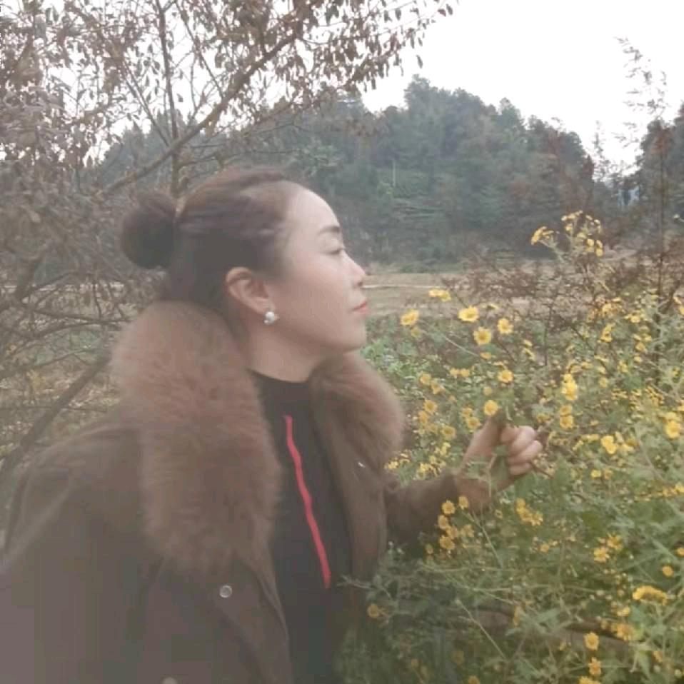 🍀心向暖阳🍀