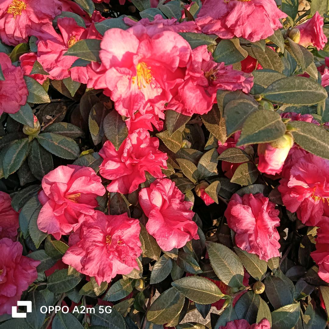 好好，爱自己，