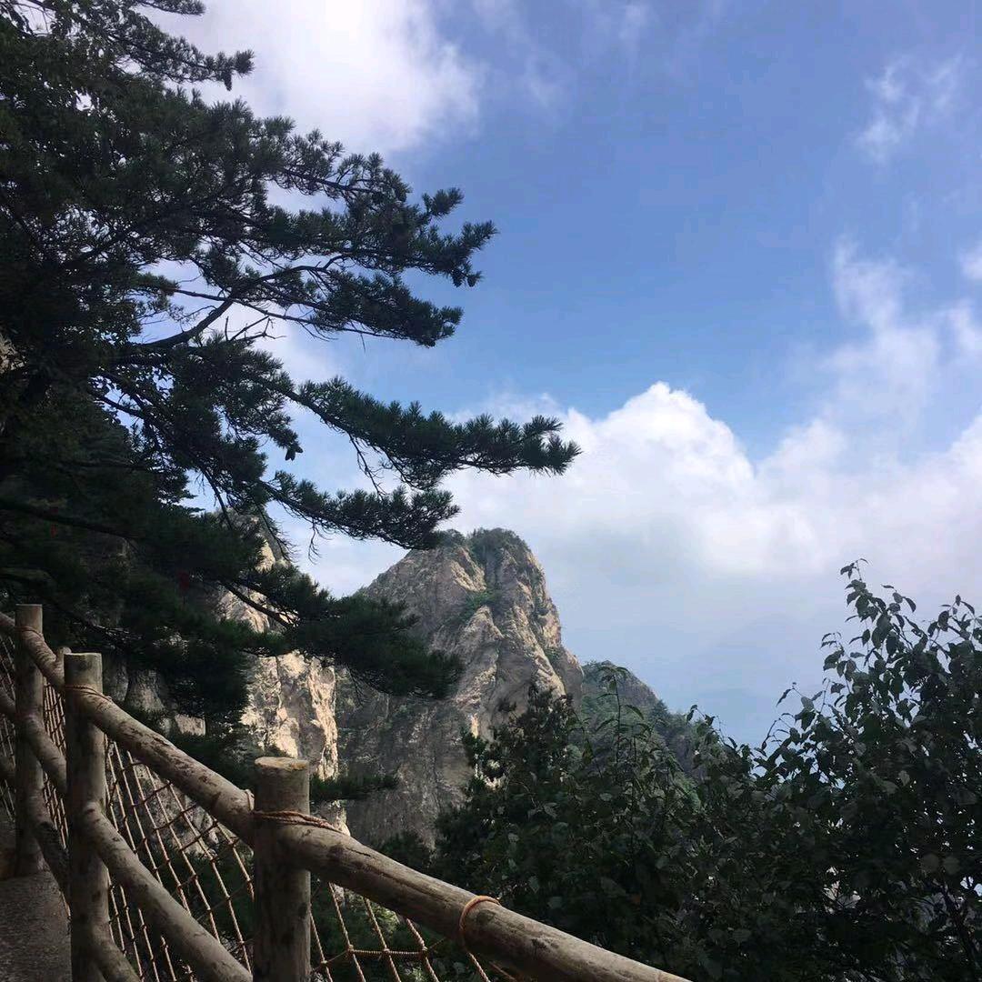 张先生