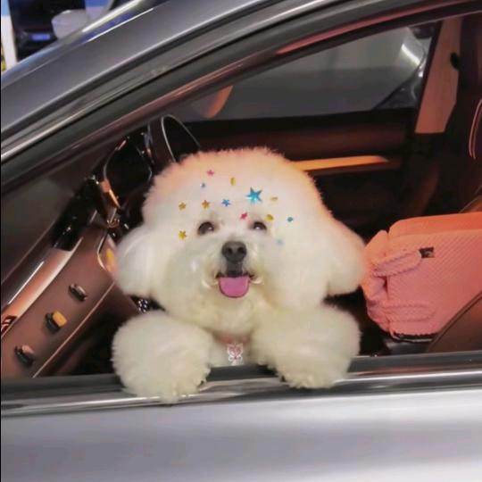 冉冉的小铺