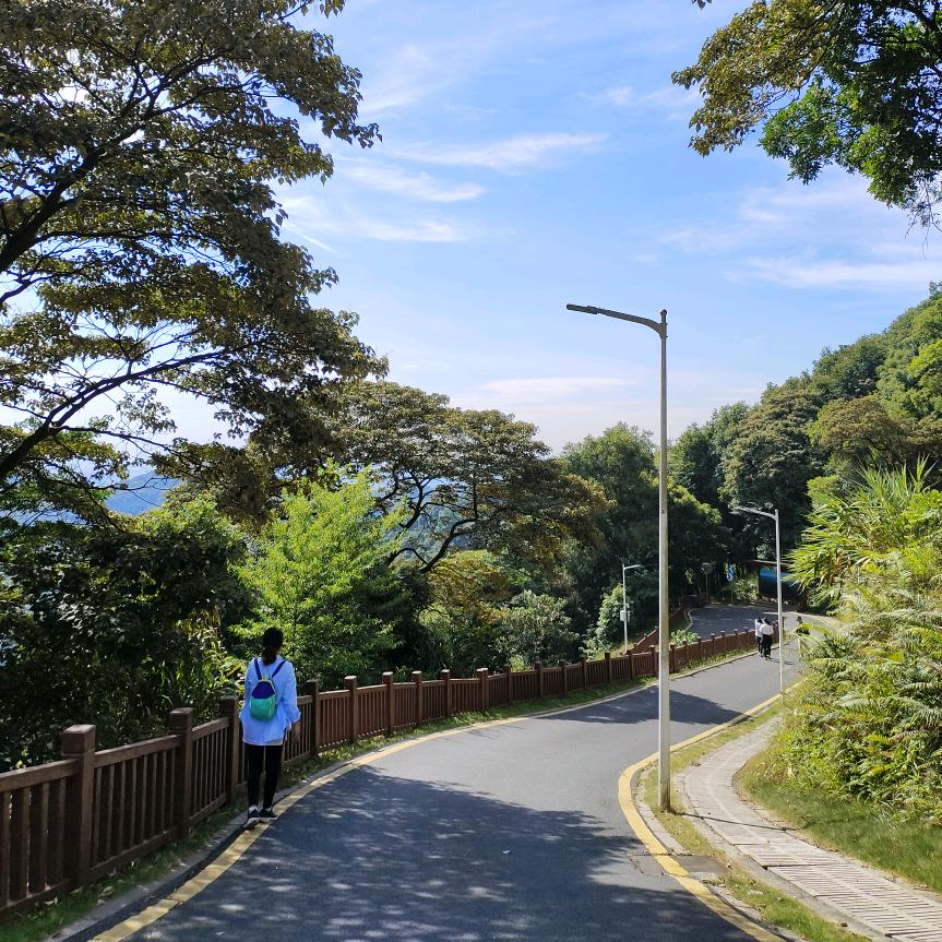 蓝莓很甜