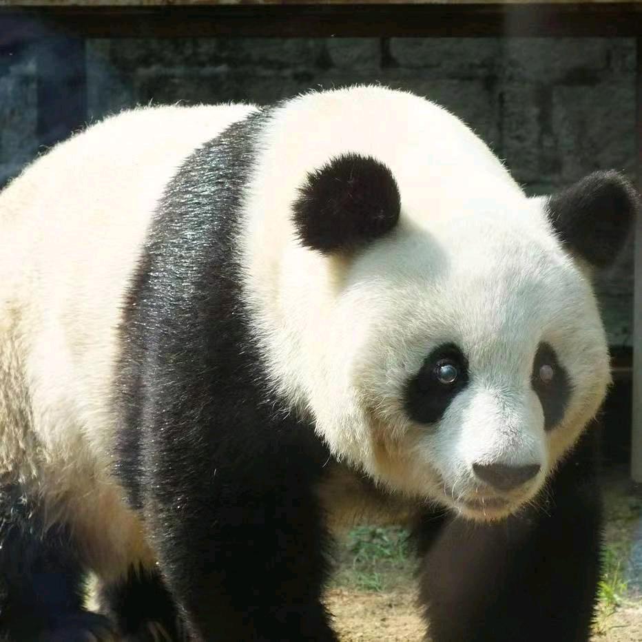 独自一人闯天崖！