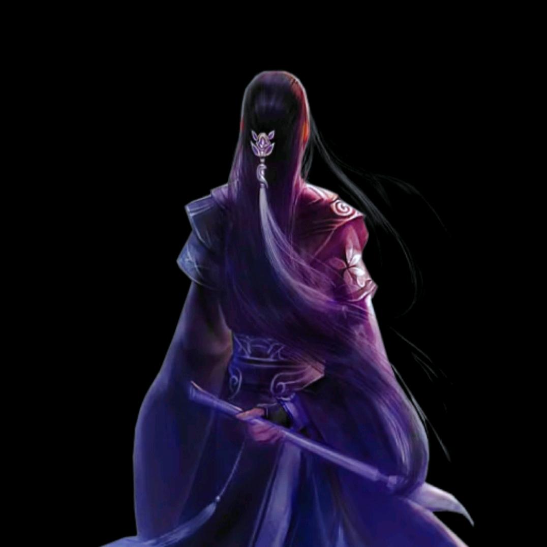 纵横居士