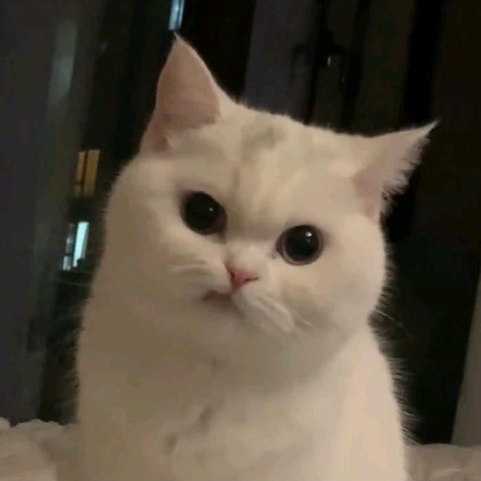 懒惰..