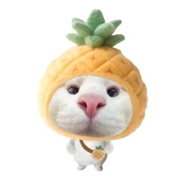 朱鸢情.