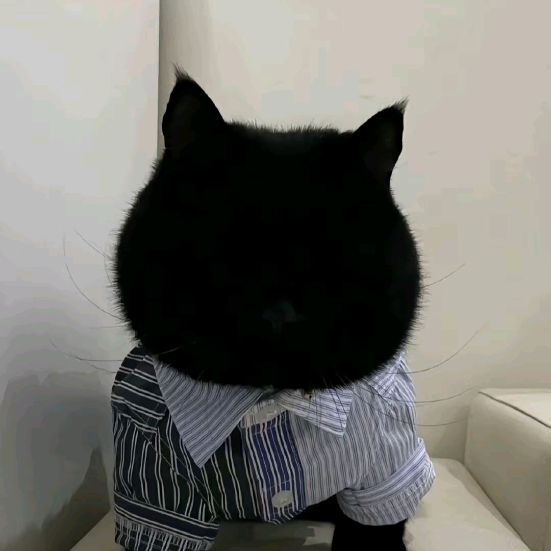小丰歌