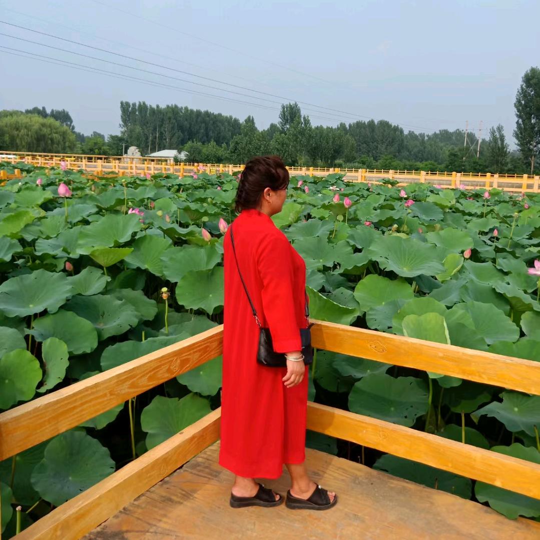 追逐梦想