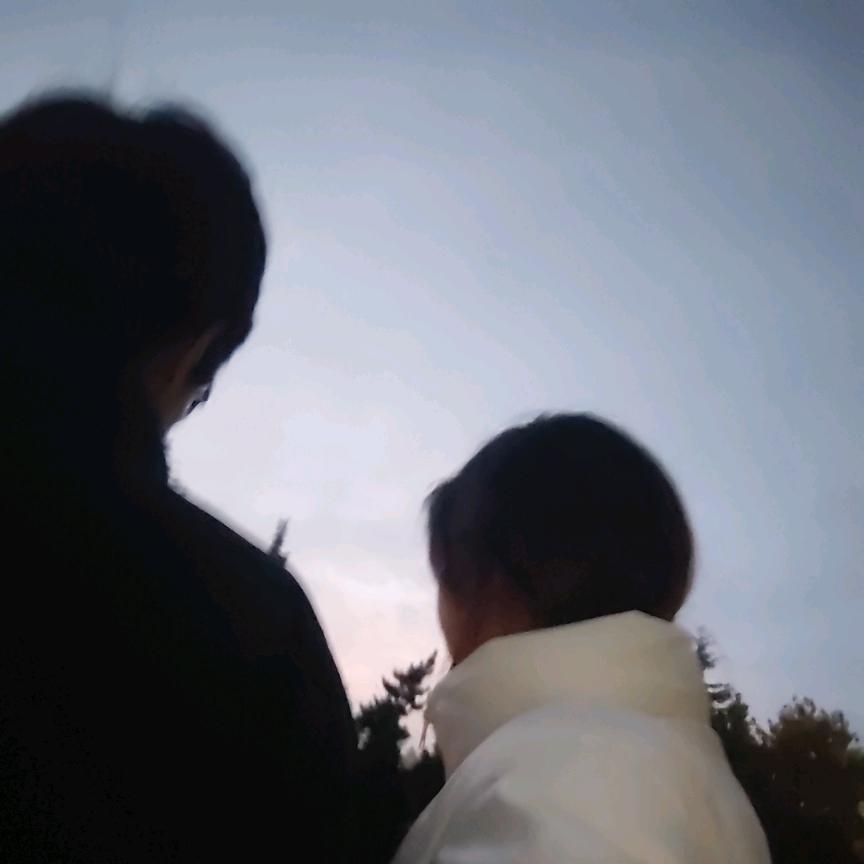 桉雾