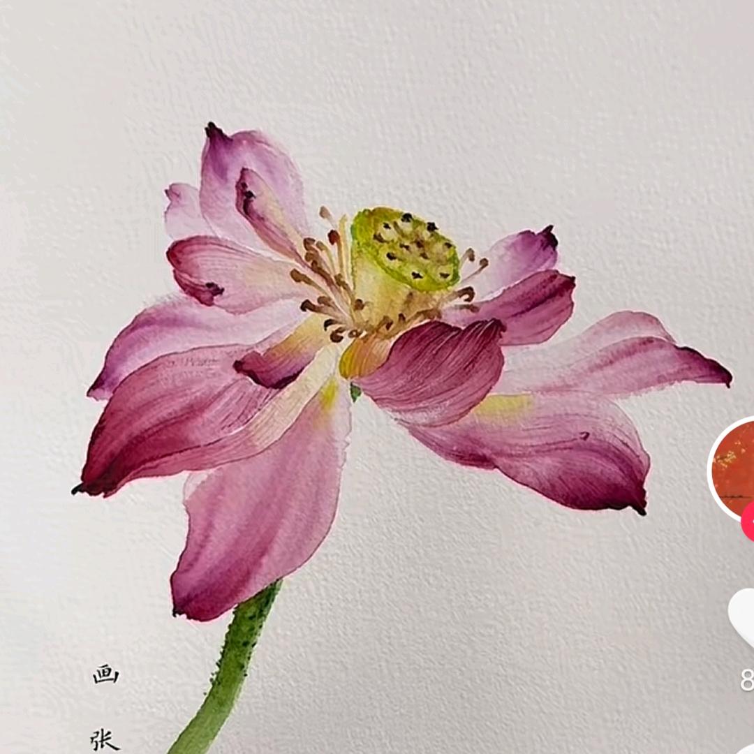 唐河共计