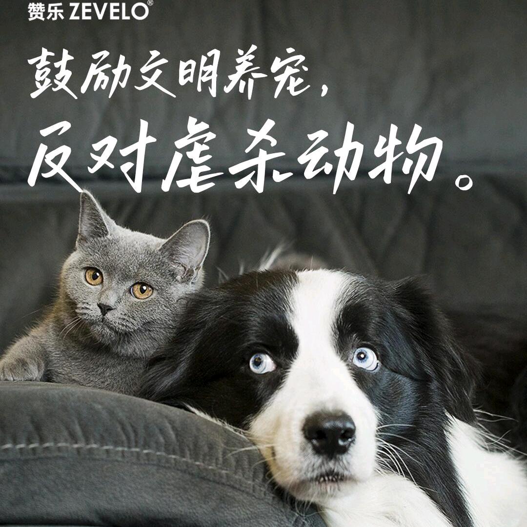 开心