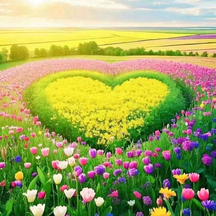 ♡ 巧儿（ 拒连赞）多赞不回