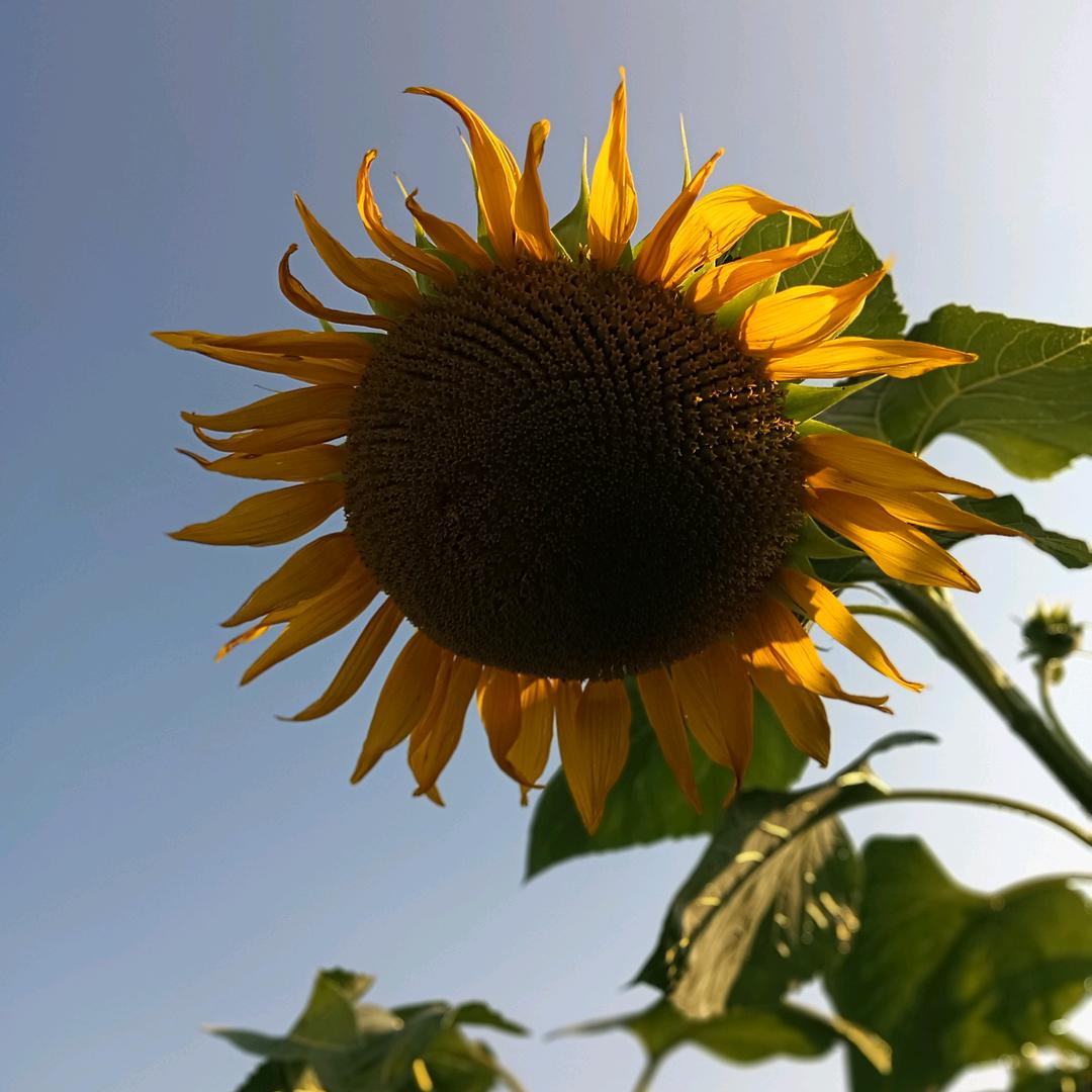 ꦿ᭄ 时̶̶ོ光ꦿ℘゜