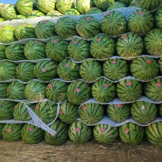 李氏🍉农贸产地供应