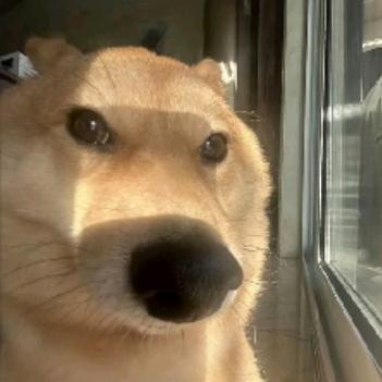 放屁不臭