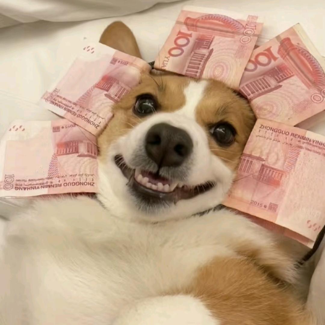 玉米&&蛋挞