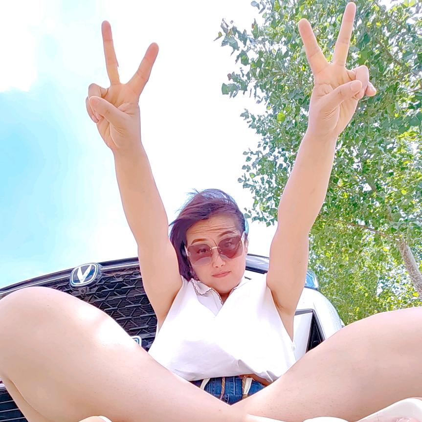 有点懒的  金小怪