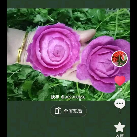 带刺的剌梨