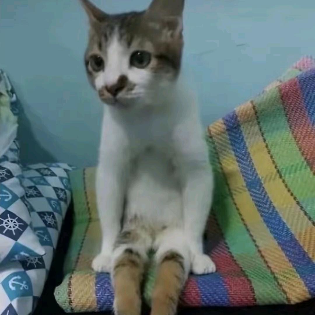 用户23571818