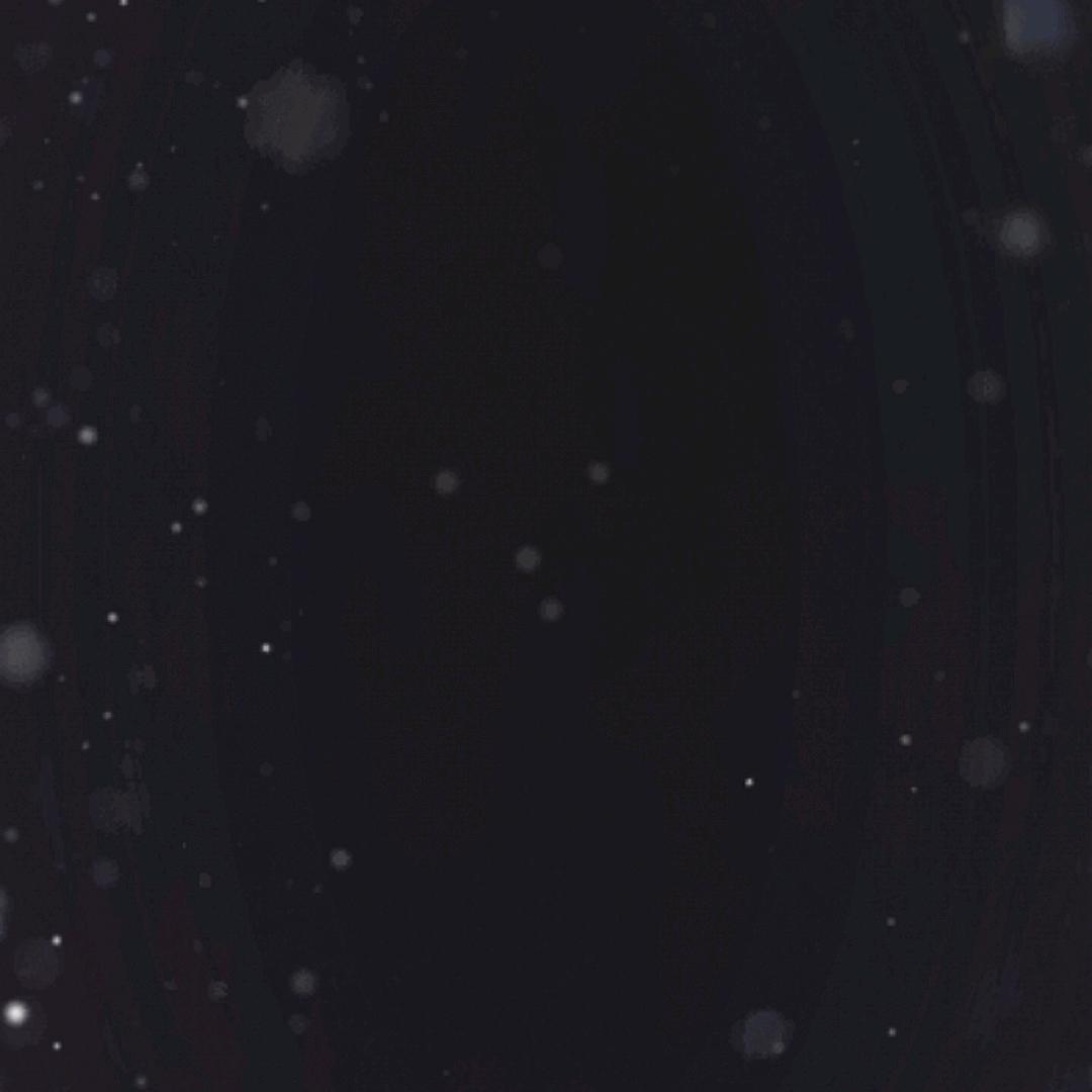 深情只是个笑话