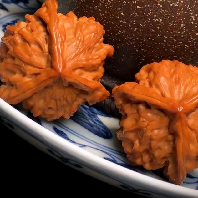 与你﹌核缘(๑><๑）