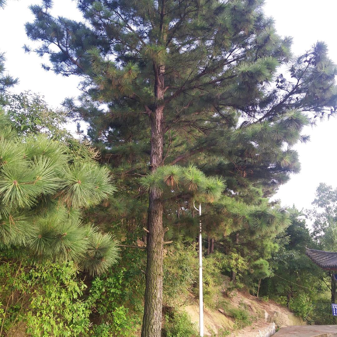 静心。知足常乐。