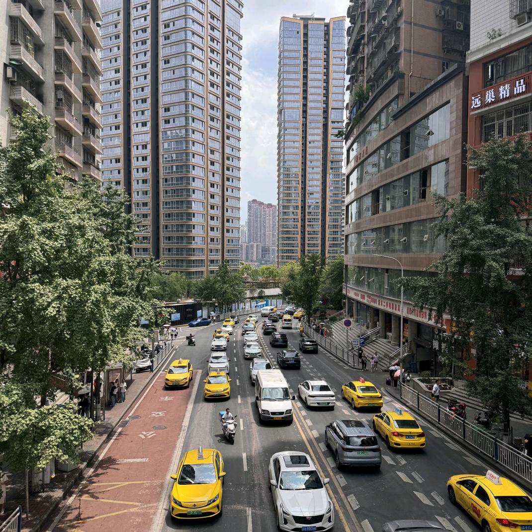 @岩姐《小海地毯》