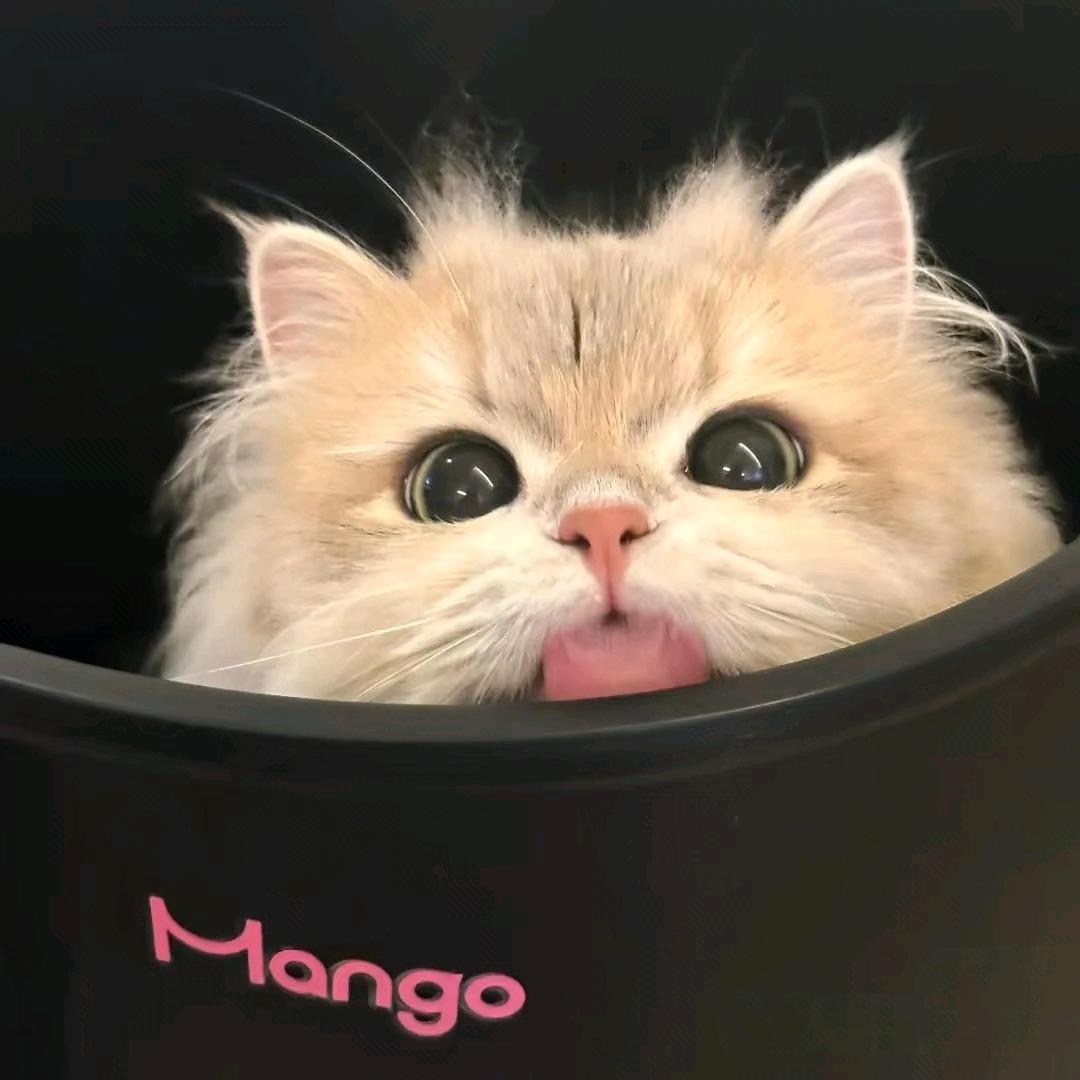 ！