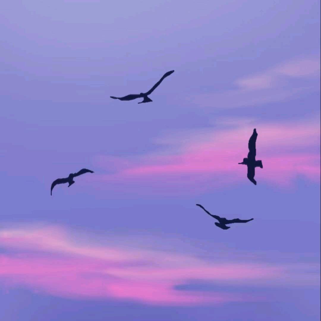 Wsen1_
