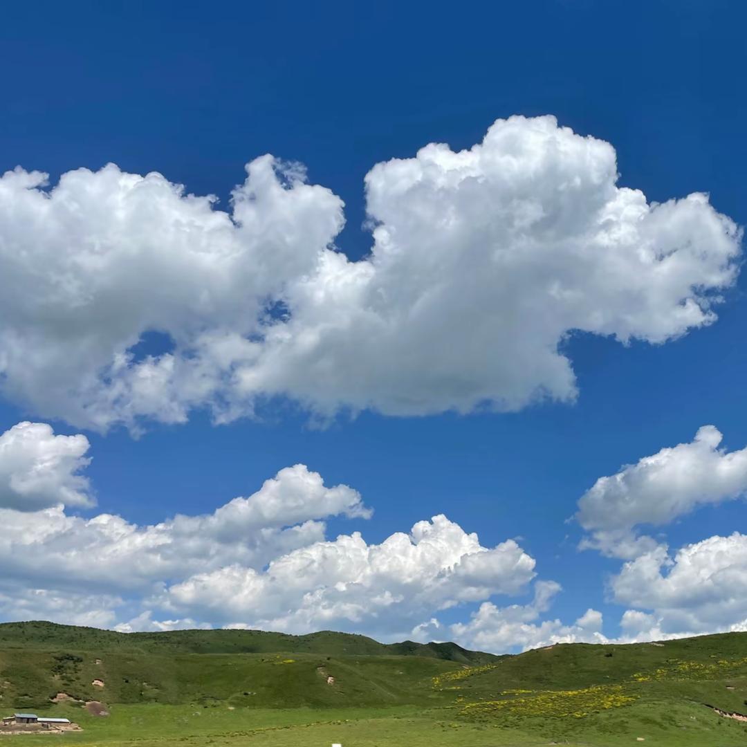 陇之堂农副产品商贸行