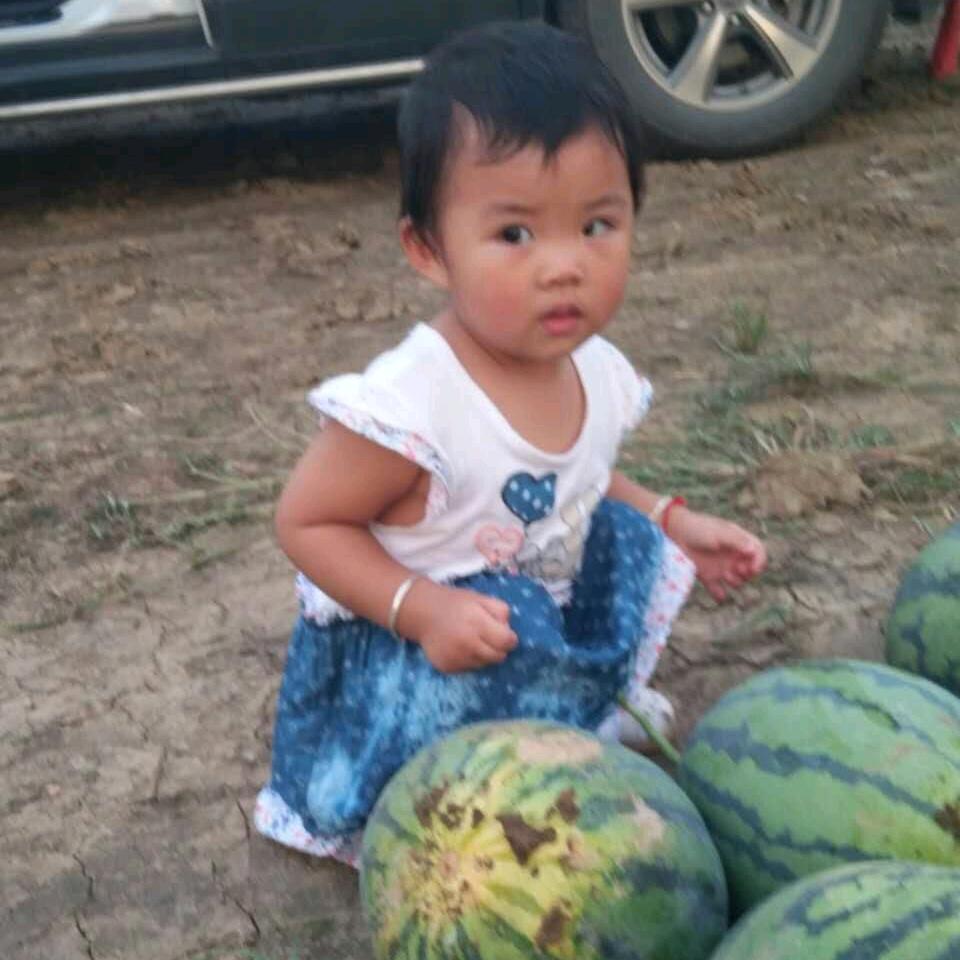 🌻人生如梦