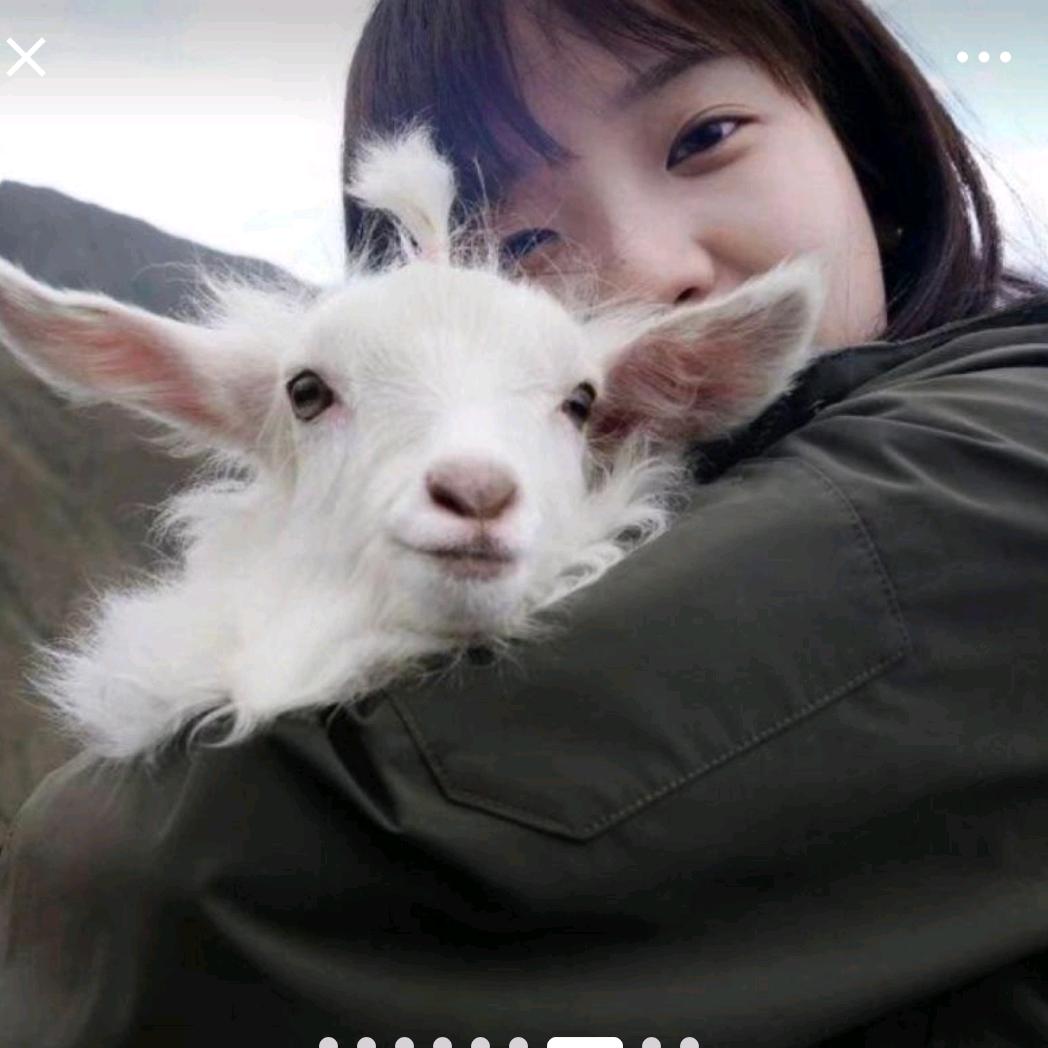 晚风YC