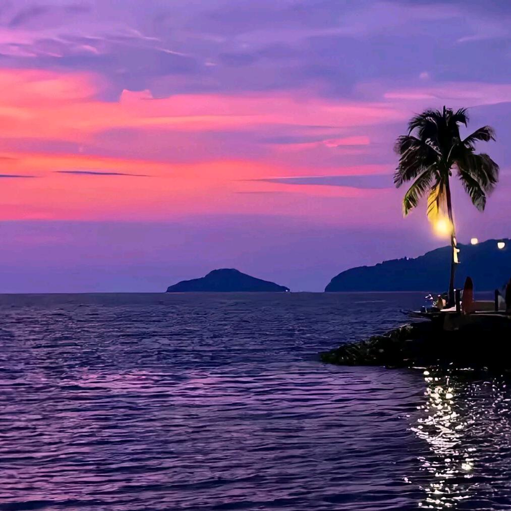 海棠未眠