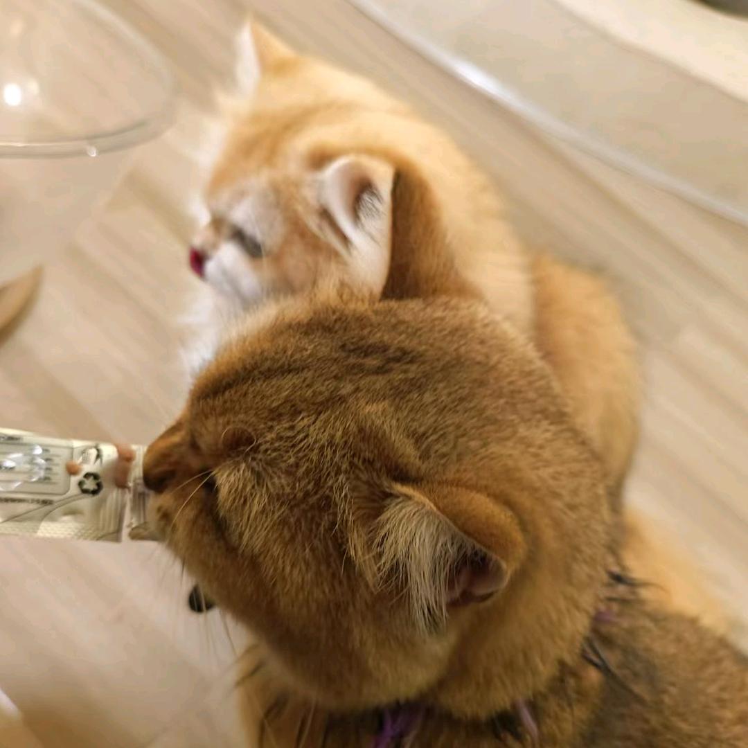 3的n次方
