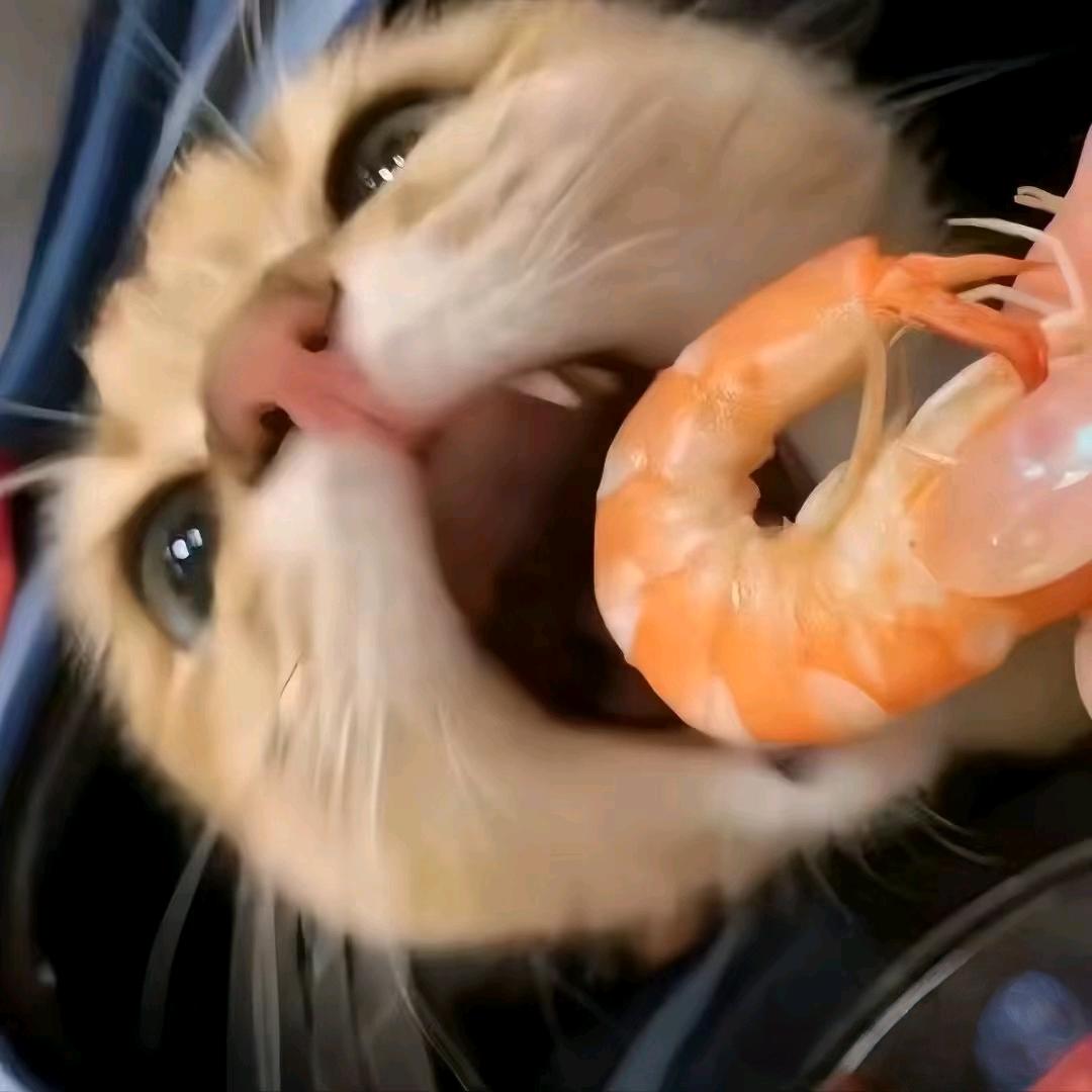 子非鱼