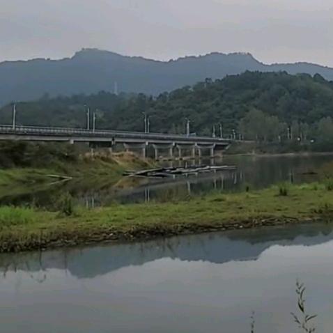 冷言冷语冷坚强