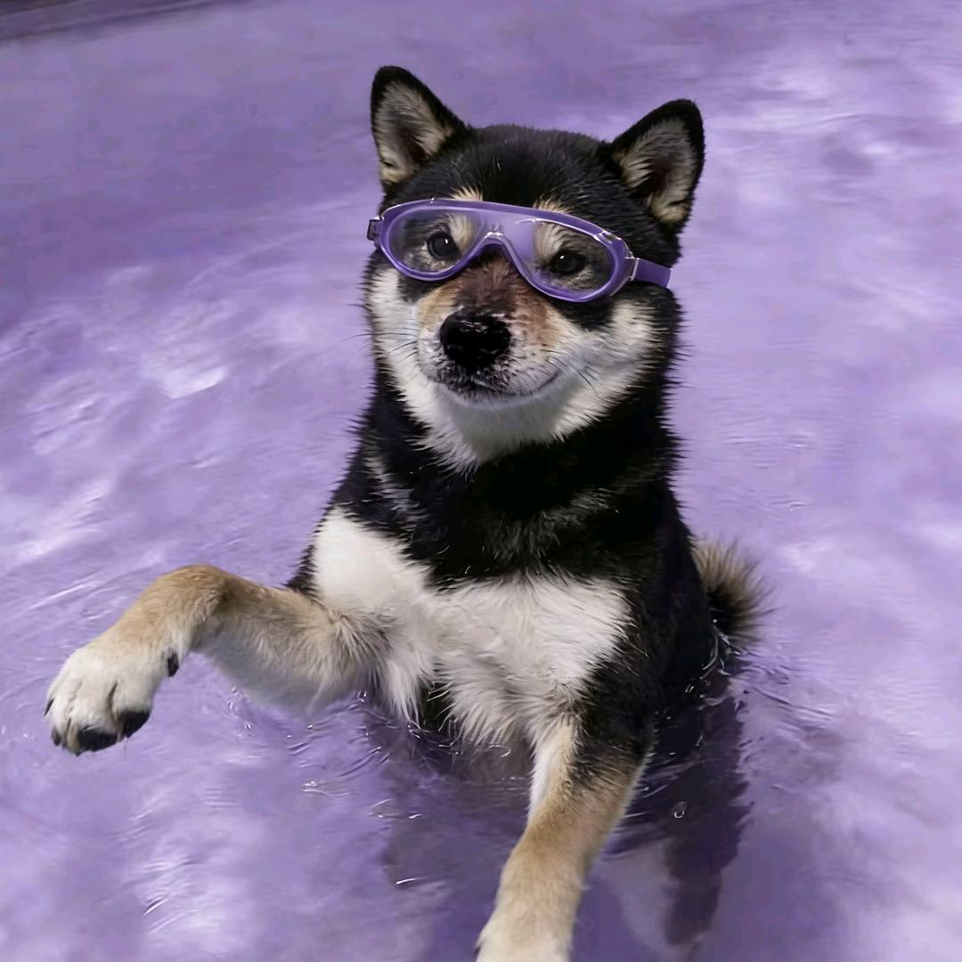 今晚不熬夜啦z☡zᶻ