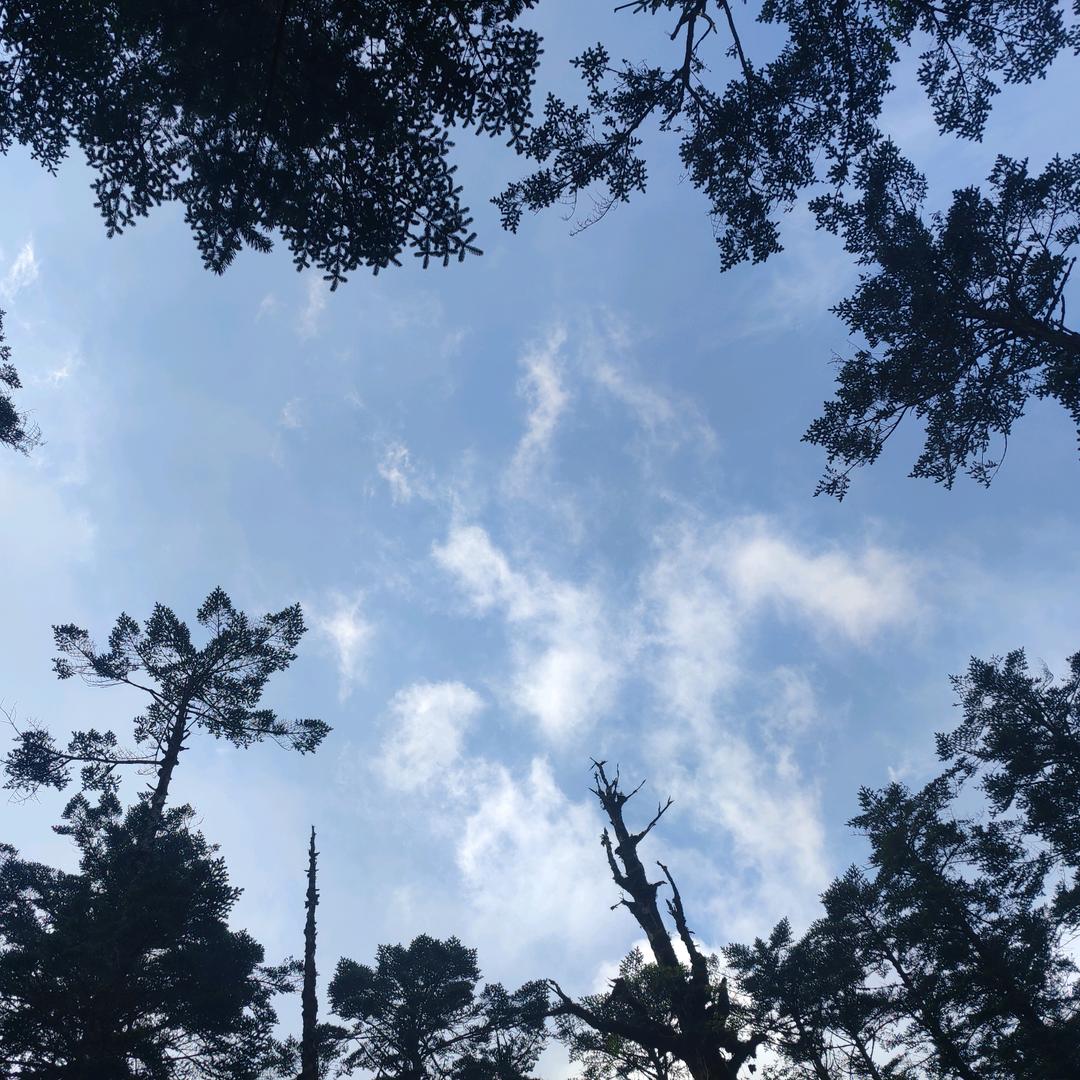 自然点点
