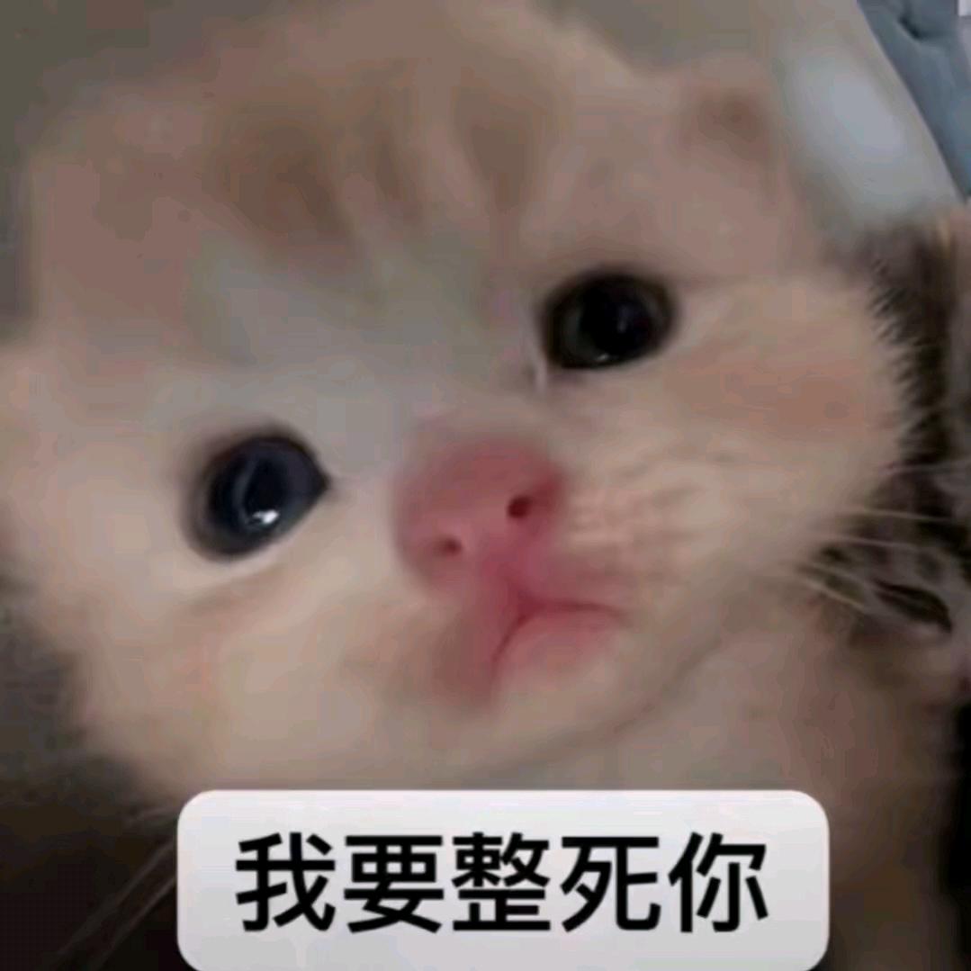 舒城好市民