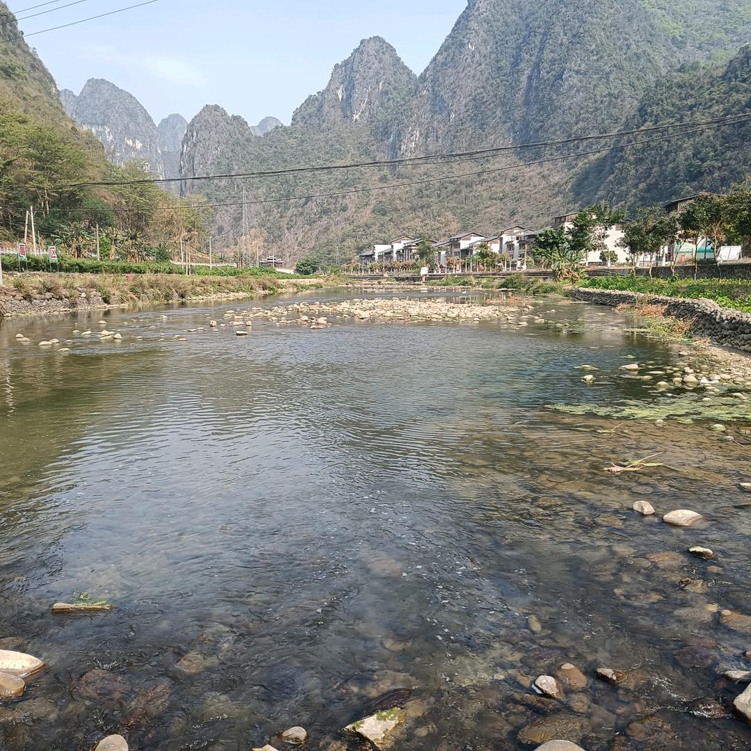 邻居家的琳