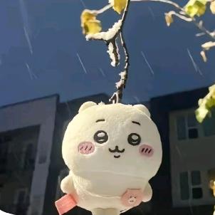 甜崽小梦