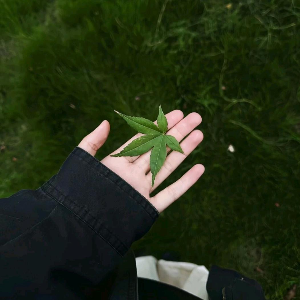 ʟ̆̈ᴜ̆̈ᴄ̆̈ᴋ̆̈ʏ̆̈
