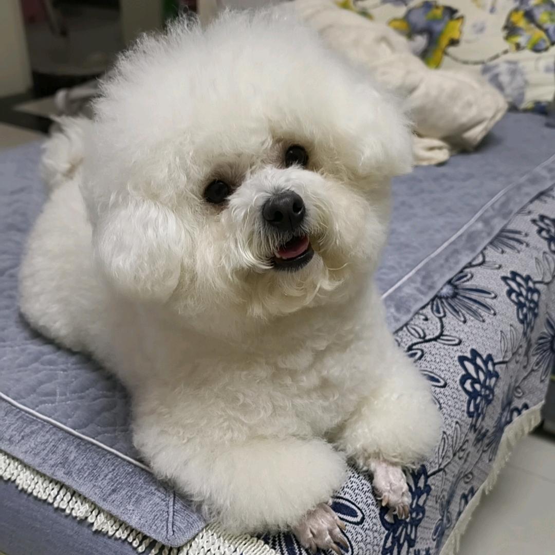 .不想搭李.