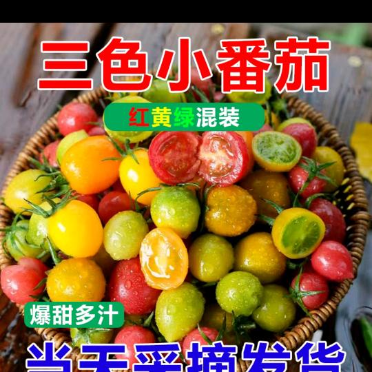 寿光市盛硕果蔬