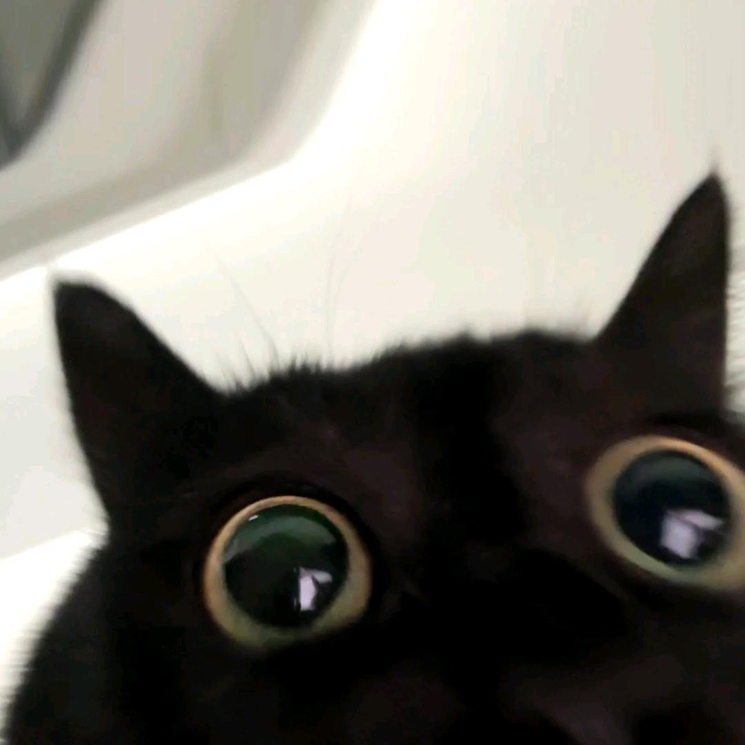 ☀️𝒲𝒶𝓃ℊ