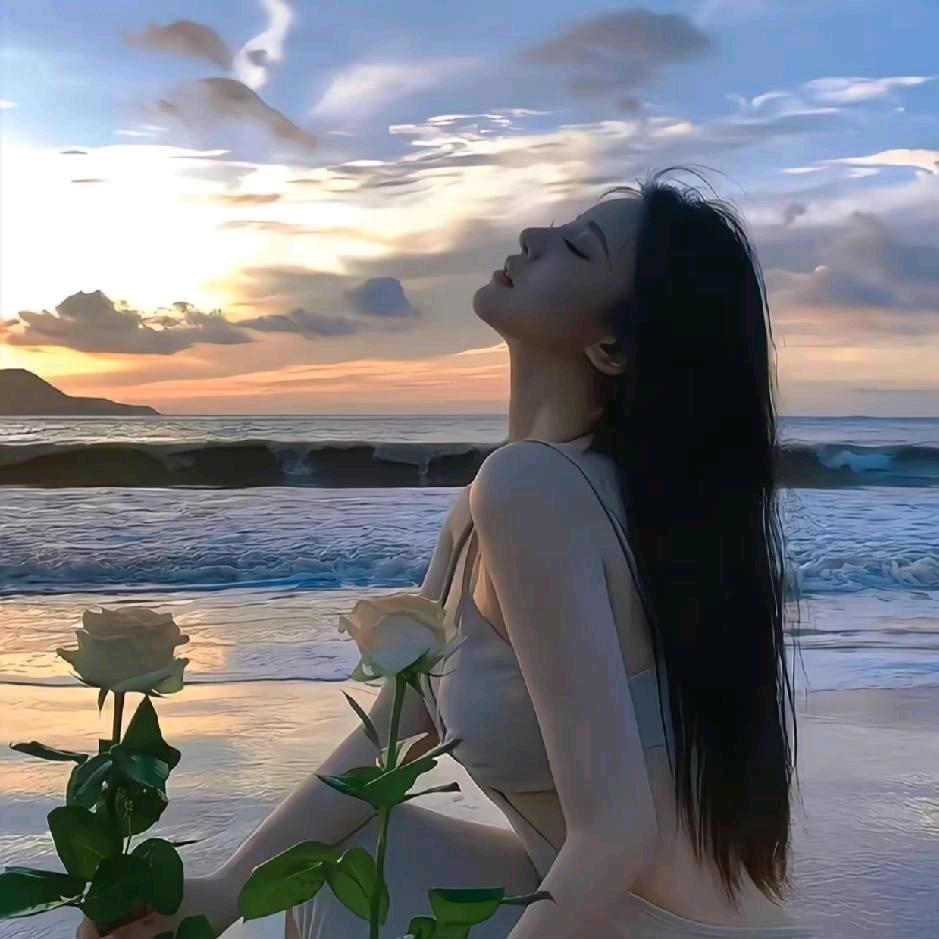 糖豆是只小博美🌼