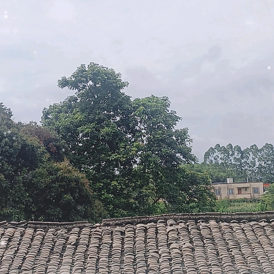 手机软件开发