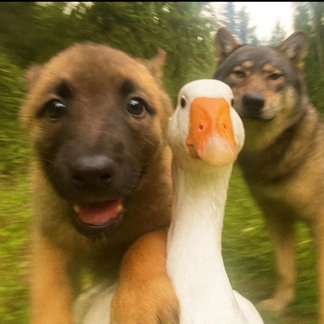 青山不改水长流