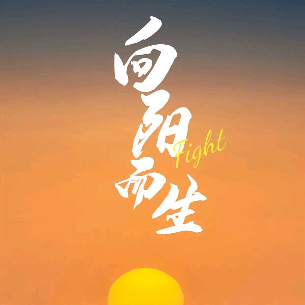 Wo在线