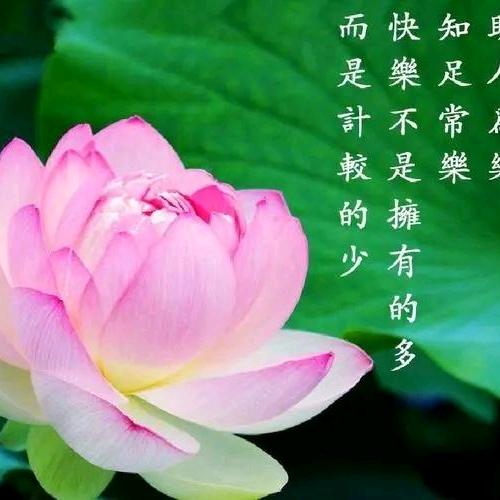 尘静