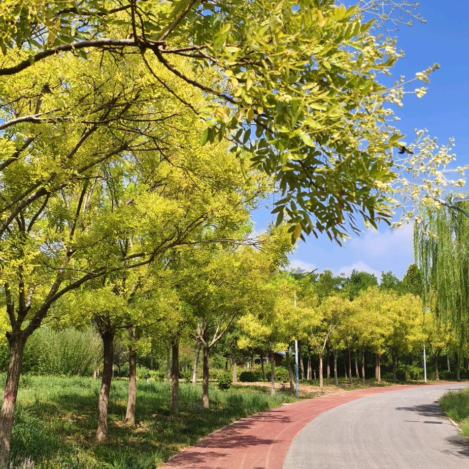 ╭(╯自❤️渡╰)╮